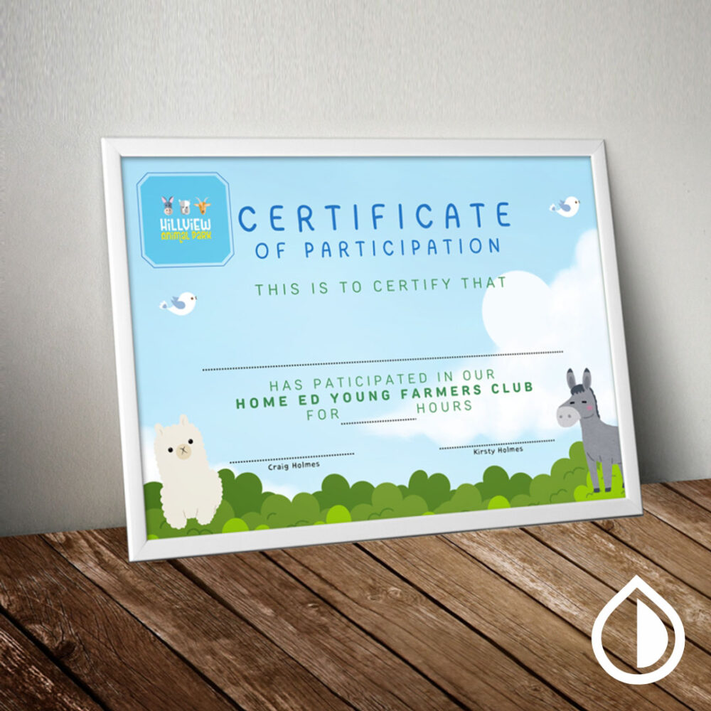 High-quality certificate printing with custom design, embossing, foil stamping, and official stamps in Dubai – MyDubai Graphics.